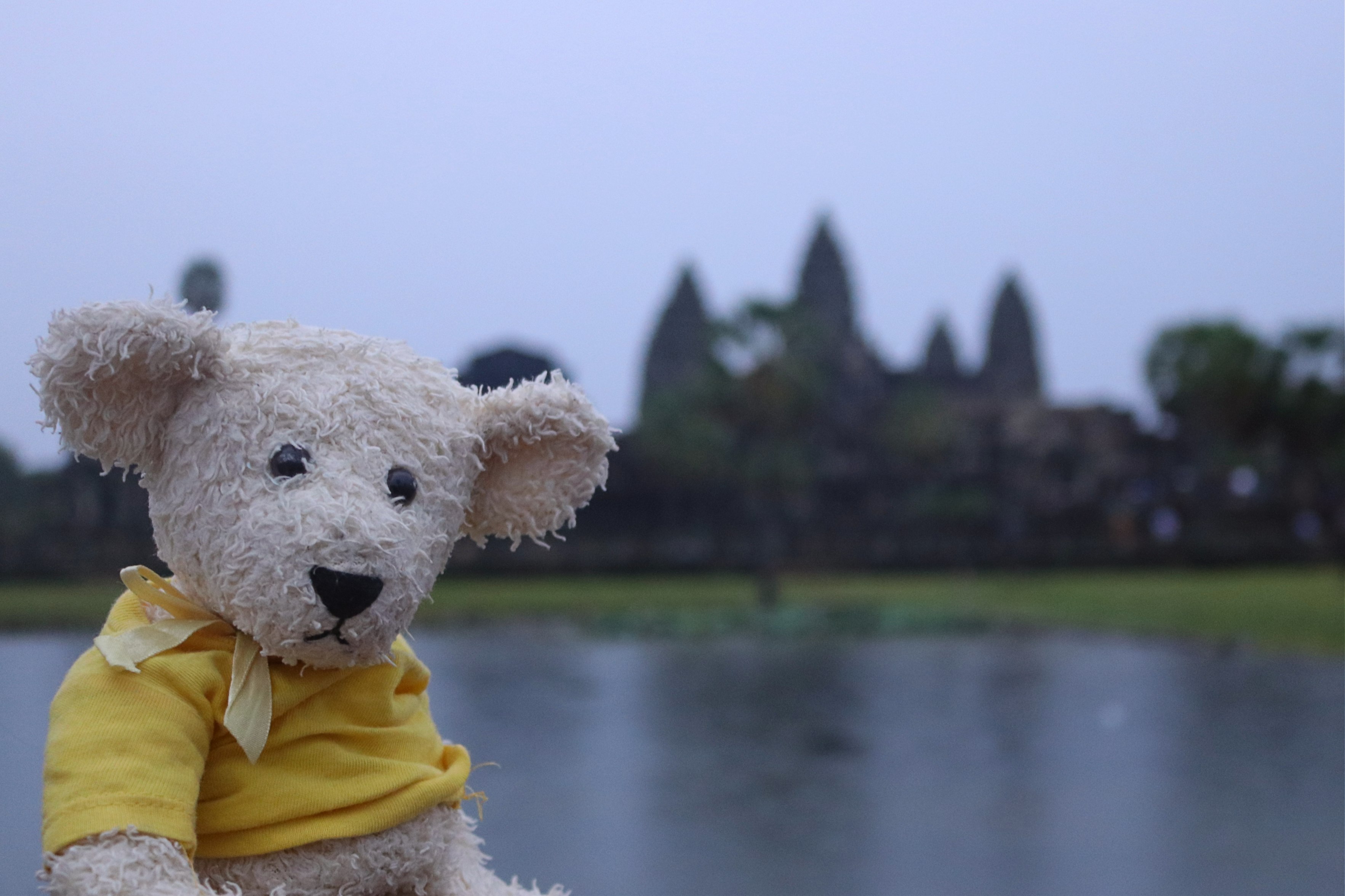 Frizzles Angkor Wat